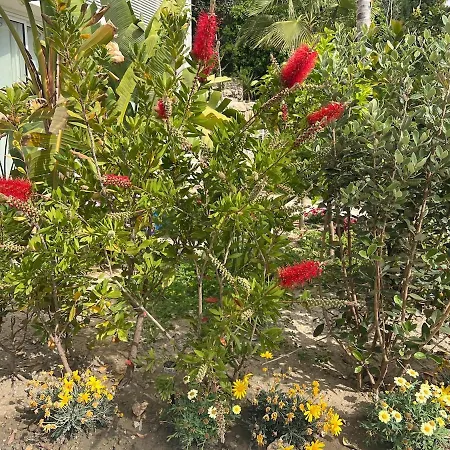 La Cerise Monaco Lägenhet